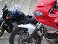 mm_weekend100_5980.jpg