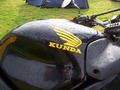 mm_weekend100_5995.jpg
