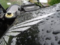 sv101465.jpg
