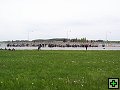 img00042.jpg