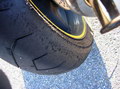 Dzin_supercorsa_back.jpg