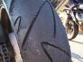 100_6113.JPG