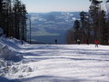 100_6955.jpg