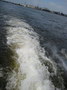IMG_0377.JPG