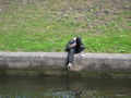 IMG_0388.JPG