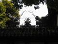 05_shanghaiIMG_3150.jpg