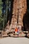 09-sequoia_sf_DSC00768.JPG