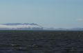 09-sequoia_sf_DSC00793.jpg