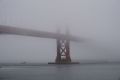 10-sf_DSC00911.JPG
