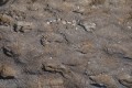 13-yellowstone_DSC01166.JPG