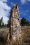 14-yellowstone_DSC01203.JPG