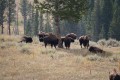 14-yellowstone_DSC01212.JPG