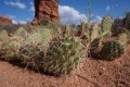 15-arches_DSC01262.JPG