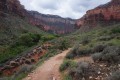 17-GrandCanyon_DSC01409.JPG