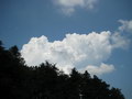 IMG_1751.JPG
